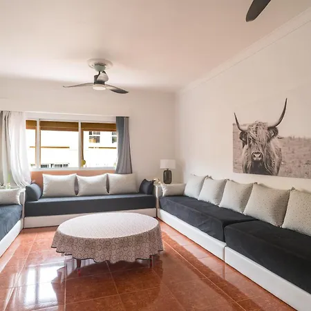 Apartment Live Palmas Wind Rose *